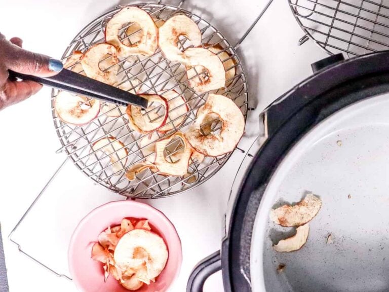 Ninja Foodi Cinnamon Dehydrated Apples We Eat At Last