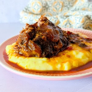 Oxtail stew served with mashed potatoes.